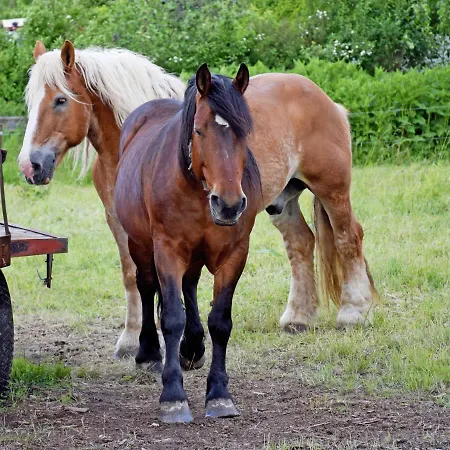 Fh Achtern - Nur Urlaubsdomizil - Keine Monteursunterkunft Appartamento