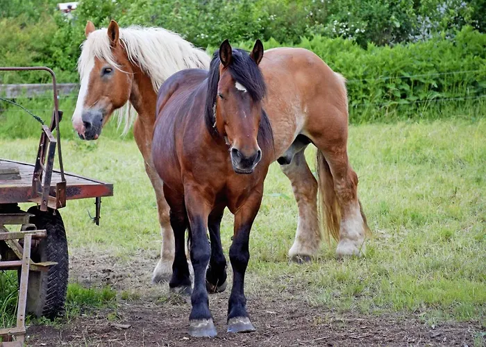 Fh Achtern - Nur Urlaubsdomizil - Keine Monteursunterkunft Apartament